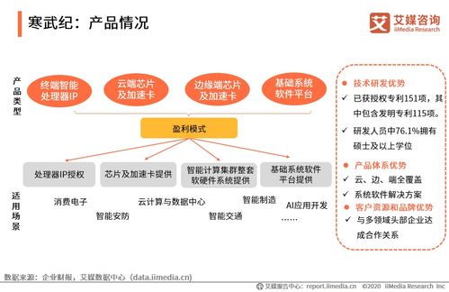 2020上半年中國(guó)人工智能芯片行業(yè)研究報(bào)告與技術(shù)交流